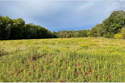 Tbd Xxx 140th Avenue, Foreston, MN 56330 - Photo 2