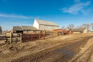 10460 County Rd 50, Cologne, MN 55322 - Photo 42
