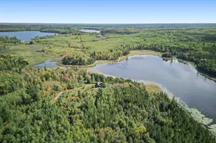 62242 Dahlberg Trl, Togo, MN 55723 - Photo 50