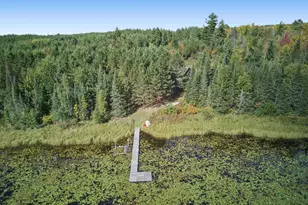 62242 Dahlberg Trl, Togo, MN 55723 - Photo 40