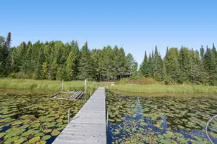 62242 Dahlberg Trl, Togo, MN 55723 - Photo 38