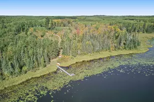62242 Dahlberg Trl, Togo, MN 55723 - Photo 48