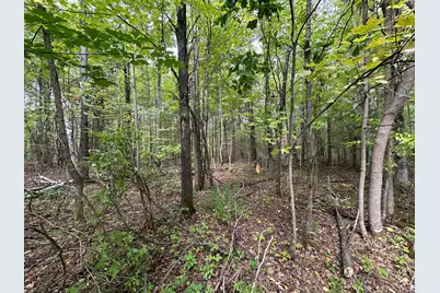 Tbd W Fork Road, Sandstone, MN 55072 - Photo 6