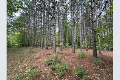 Tbd W Fork Road, Sandstone, MN 55072 - Photo 14