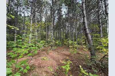 Tbd W Fork Road, Sandstone, MN 55072 - Photo 2
