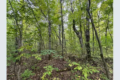 Tbd W Fork Road, Sandstone, MN 55072 - Photo 10