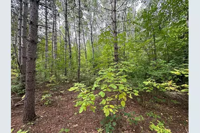 Tbd W Fork Road, Sandstone, MN 55072 - Photo 4