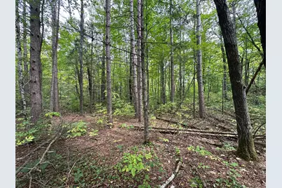 Tbd W Fork Road, Sandstone, MN 55072 - Photo 8