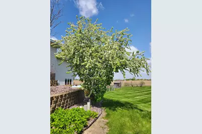 21280 93rd Avenue N, Corcoran, MN 55340 - Photo 6