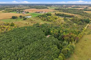 2971 State Road 64, Glenwood City, WI 54013 - Photo 1