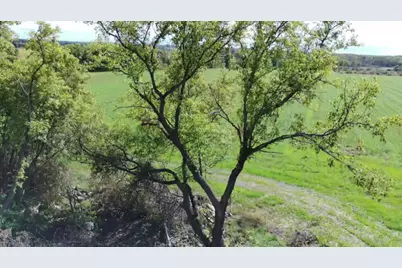 15095 400th Street, Eagle Bend, MN 56446 - Photo 26
