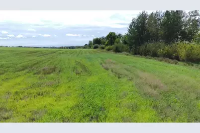 15095 400th Street, Eagle Bend, MN 56446 - Photo 10