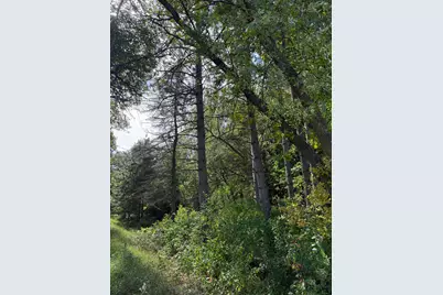 15095 400th Street, Eagle Bend, MN 56446 - Photo 6