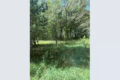 15095 400th Street, Eagle Bend, MN 56446 - Photo 8