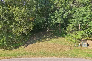 Tbd 146th Ave SE, Clear Lake, MN 55319 - Photo 1