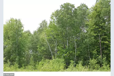 Xxxxx Sandhill Crane Ln, Pine City, MN 55063 - Photo 10