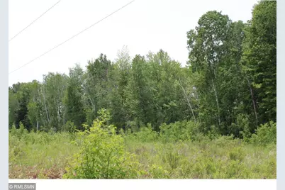 Xxxxx Sandhill Crane Ln, Pine City, MN 55063 - Photo 2