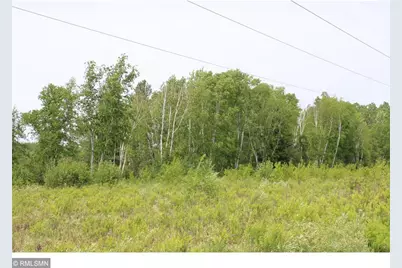 Xxxxx Sandhill Crane Ln, Pine City, MN 55063 - Photo 4