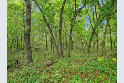 455Xx Plentywood Rd, Perham, MN 56573 - Photo 12