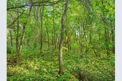 455Xx Plentywood Rd, Perham, MN 56573 - Photo 10