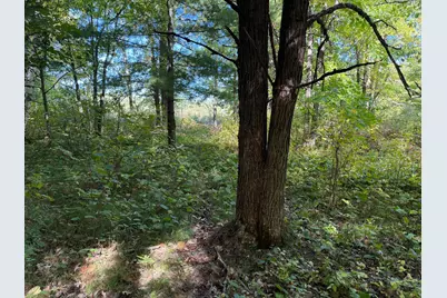 Tbd- 269th Avenue, Laporte, MN 56461 - Photo 22