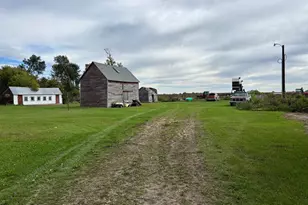 21404 400th Ave, Cyrus, MN 56323 - Photo 6