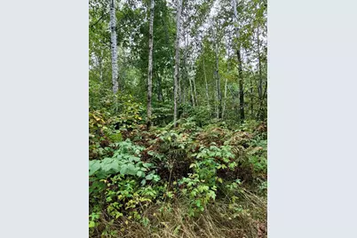 57391 Duncan Road, Sandstone, MN 55072 - Photo 20