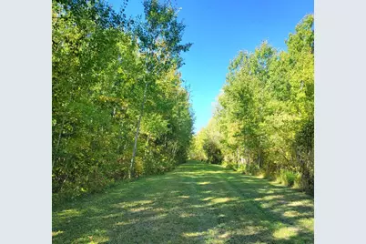 26317 370th Avenue, Roseau, MN 56751 - Photo 6