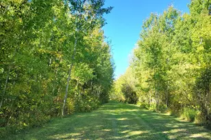 26317 370th Ave, Roseau, MN 56751 - Photo 6