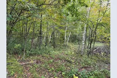 Tbd 23 1/2 Street, Rice Lake, WI 54868 - Photo 10