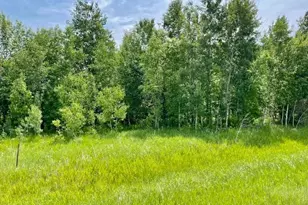 T134-R37 Sec 30 / Hwy Hwy 67, Henning, MN 56551 - Photo 1