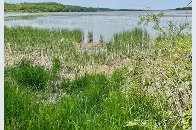 T134-R37 Sec.30    /  Hwy Hwy 67, Henning, MN 56551 - Photo 6
