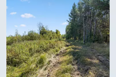 Tbd 96th Street SW, Motley, MN 56466 - Photo 38