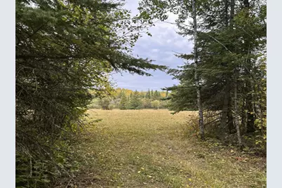 9289 Heino Road, Angora, MN 55703 - Photo 40
