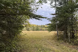 9289 Heino Rd, Angora, MN 55703 - Photo 40
