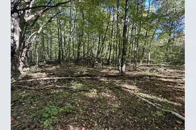 Tbd 90th Avenue, Amery, WI 54001 - Photo 6