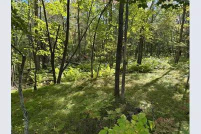 Xxx County Road 109, Merrifield, MN 56465 - Photo 14