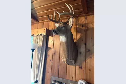 Tbd 400th Street, Bertha, MN 56437 - Photo 40