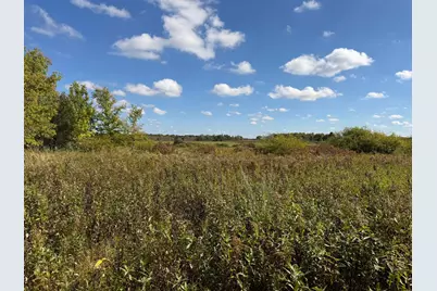 Tbd 400th Street, Bertha, MN 56437 - Photo 28