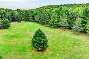 N9278 State Road 25, Colfax, WI 54730 - Photo 46