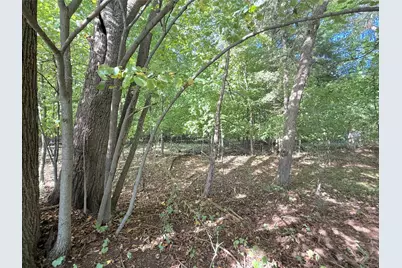 Lot 3 Blk 1 78th Street NW, South Haven, MN 55382 - Photo 10