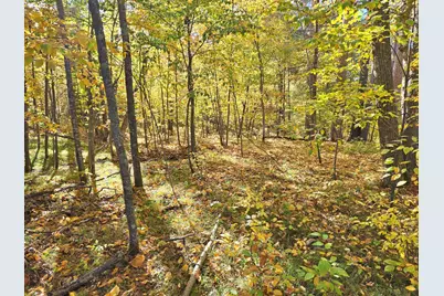 Tbd Ironwood Drive, Park Rapids, MN 56470 - Photo 10