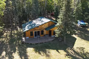 11381 Carlson Rd, Orr, MN 55771 - Photo 50