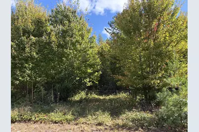 Xxx Bluebird Trail, Webster, WI 54893 - Photo 6