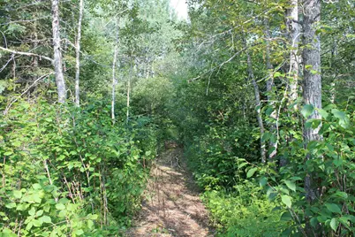 Lot 1 E Camp Amnicon Road, Superior, WI 54874 - Photo 12