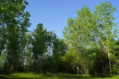 14318 316th Avenue, Princeton, MN 55371 - Photo 28