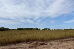 Tbd (L3-Sm East) Yellowpine Ct NW, Isanti, MN 55040 - Photo 1