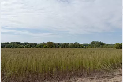 Tbd (L5-Sm East) Yellowpine Court NW, Isanti, MN 55040 - Photo 1