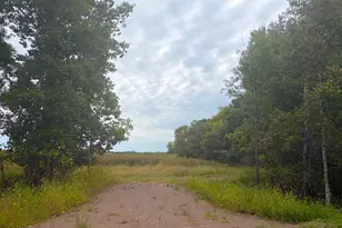 Tbd (L7-Sm East) Flamingo Street NW, Isanti, MN 55040 - Photo 1
