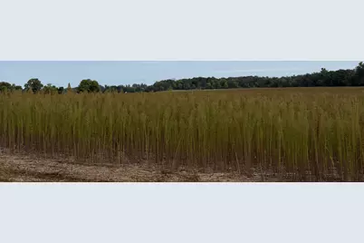 Tbd (L12-Sm East) Yellowpine Court NW, Isanti, MN 55040 - Photo 2